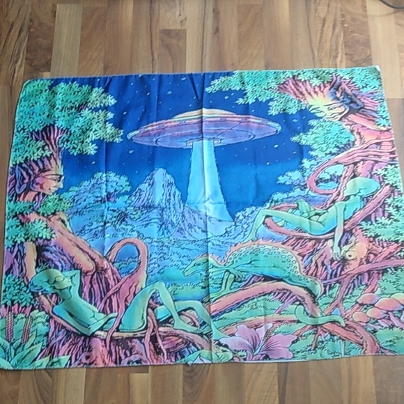 Tapestries - Picture 2 of 2